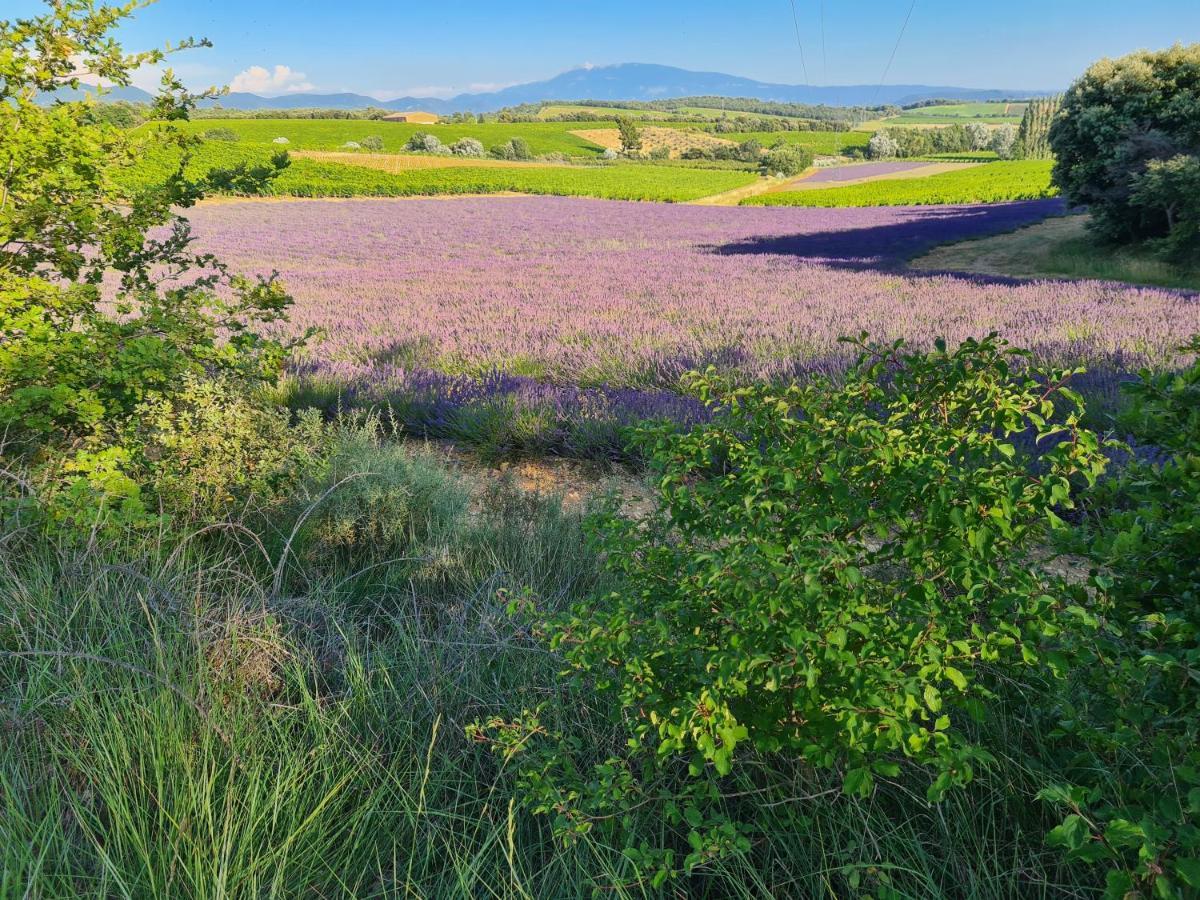 Gite Du Domaine Jaume Vinsobres المظهر الخارجي الصورة